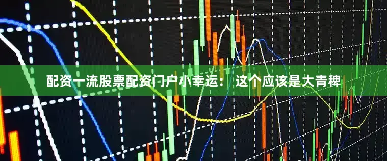 配资一流股票配资门户小幸运： 这个应该是大青稗